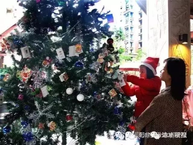 长汀小新星英语_漳浦小新星英语_漳浦小新星英语学校收费标准