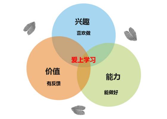 阿卡索外教网雅思培训_深圳哪个外教一对一好_深圳雅思外教一对一培训机构