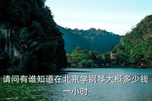 请问有谁知道在北京学钢琴大概多少钱一小时