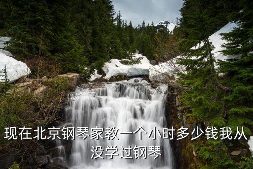 现在北京钢琴家教一个小时多少钱我从没学过钢琴