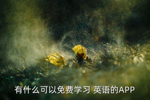 有什么可以免费学习 英语的APP