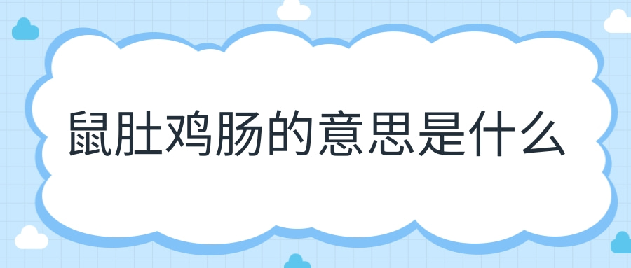 鼠肚鸡肠的意思是什么